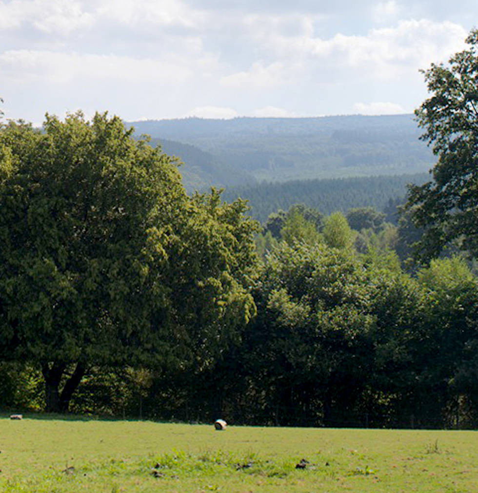 Au cœur de notre Ardenne belge.