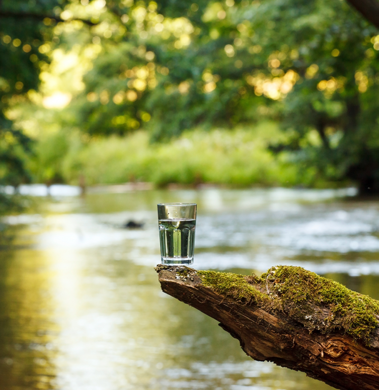 verre d'eau dans la nature